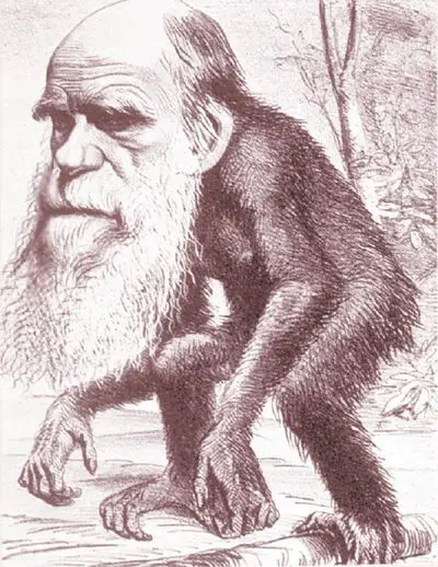 Darwinape.jpg